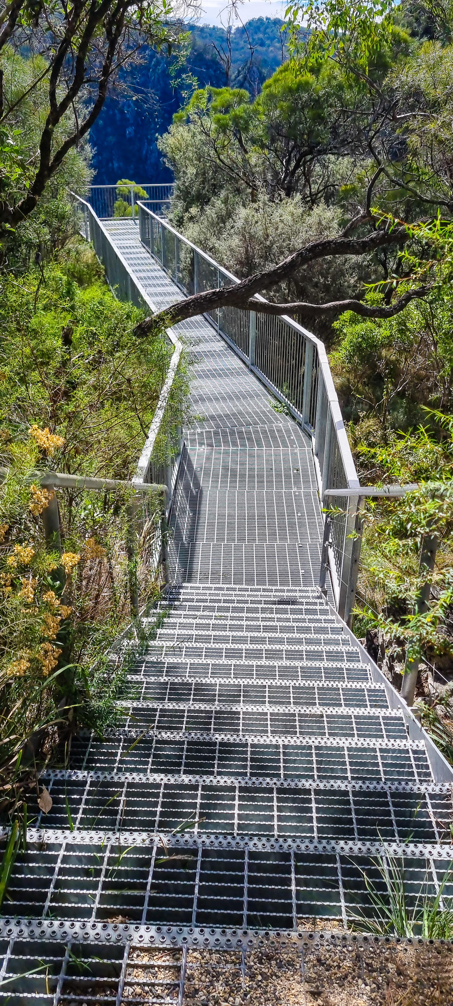 Dangars Falls Walk